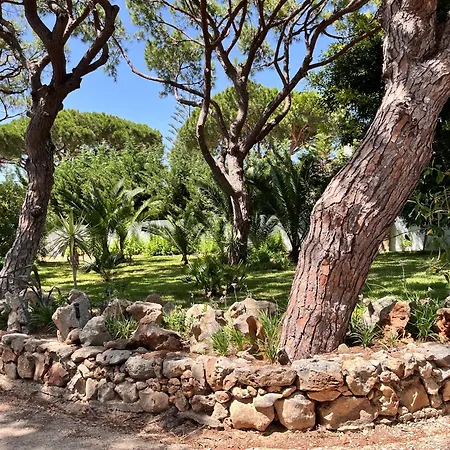 Vila Com Piscinas - Quintinha Do *