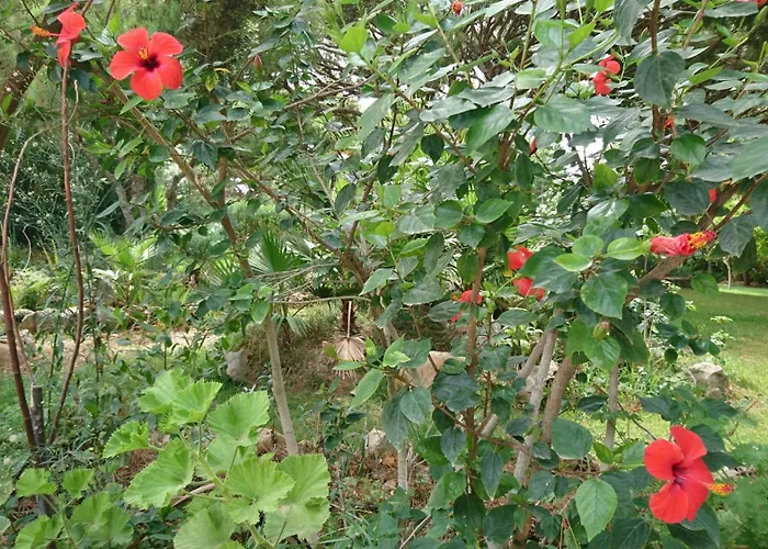 Willa Com Piscinas - Quintinha Do *